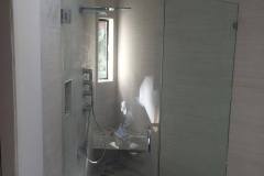 Frameless door and panel in Reston VA.