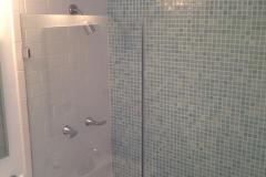 Frameless Inline Shower Door Installed in Leesburg.