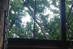 Professionally installed skylights add wonderful natural light to your home.